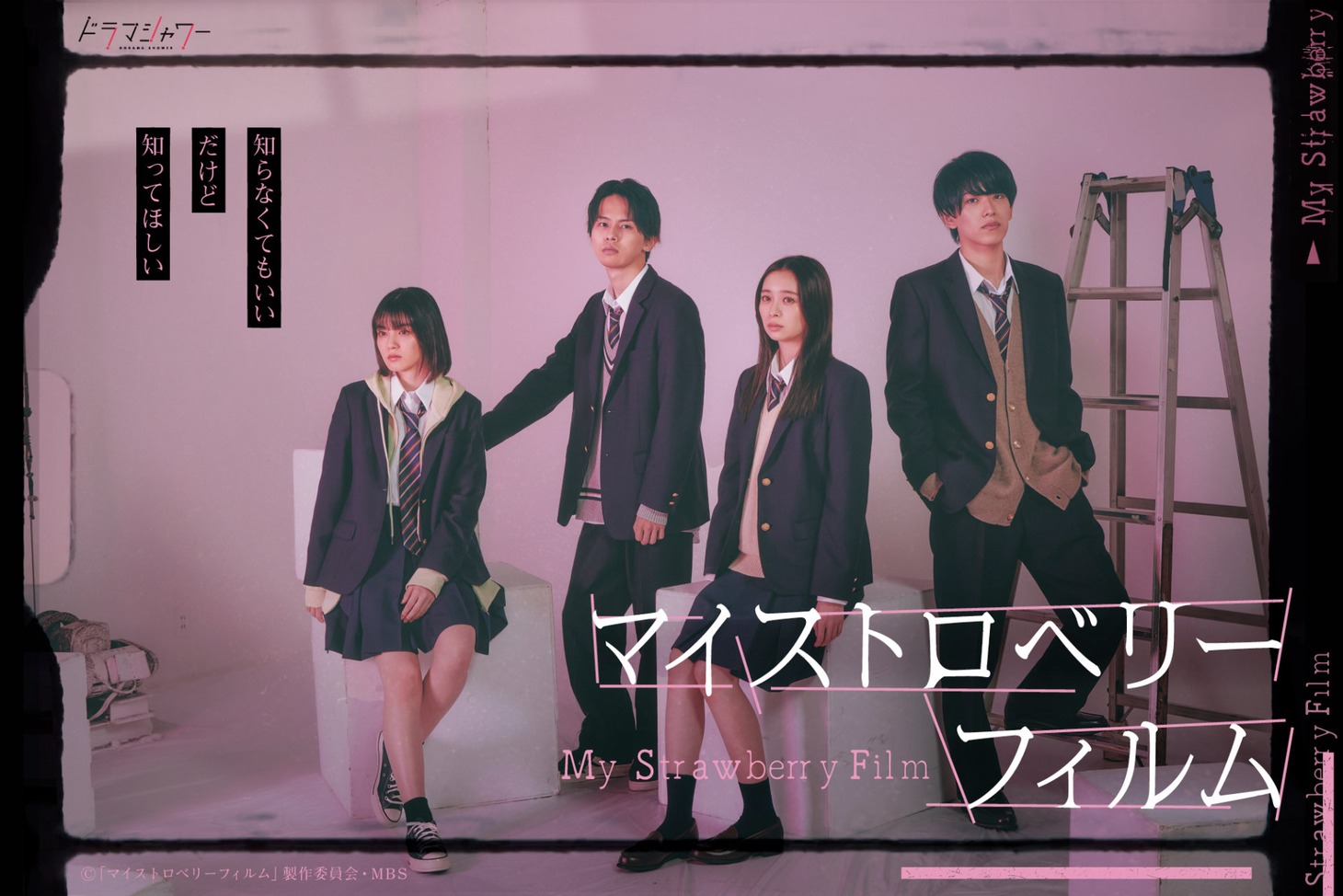 「マイストロベリーフィルム」ビジュアル