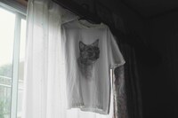 「スミコ22」場面写真