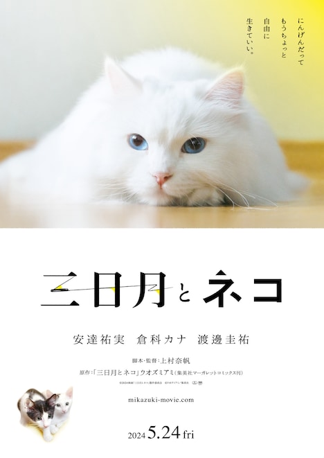 映画「三日月とネコ」ポスタービジュアル