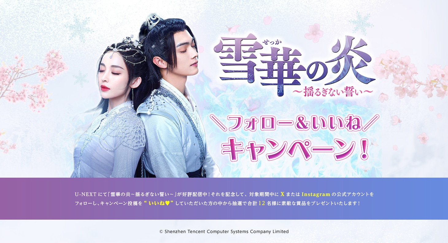 中国ドラマ「雪華の炎～揺るぎない誓い～」キャンペーン告知ビジュアル
