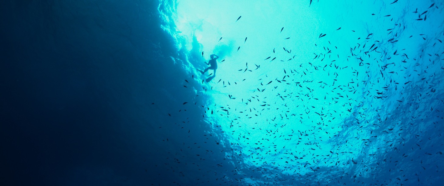 「DIVE／ダイブ 海底28メートルの絶望」場面写真