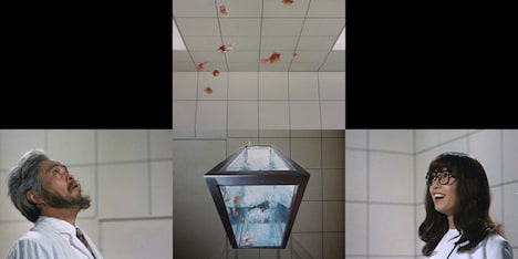 「1日240時間」場面写真 (c)一般財団法人草月会／『1日240時間』