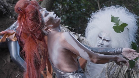 「倭文（しづり） 旅するカジの木」場面写真