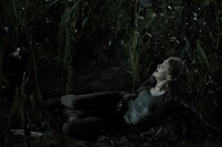 「スティーヴン・キング エイジ・オブ・パンデミック」場面写真