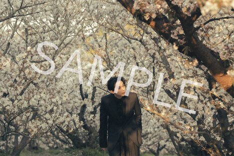 「吉沢 亮 2024.4→2025.3 カレンダー」より