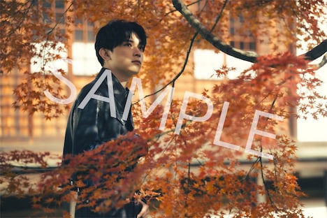 「吉沢 亮 2024.4→2025.3 カレンダー」より