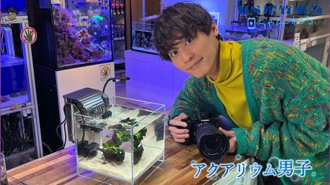 「アクアリウム男子」より、小林亮太。