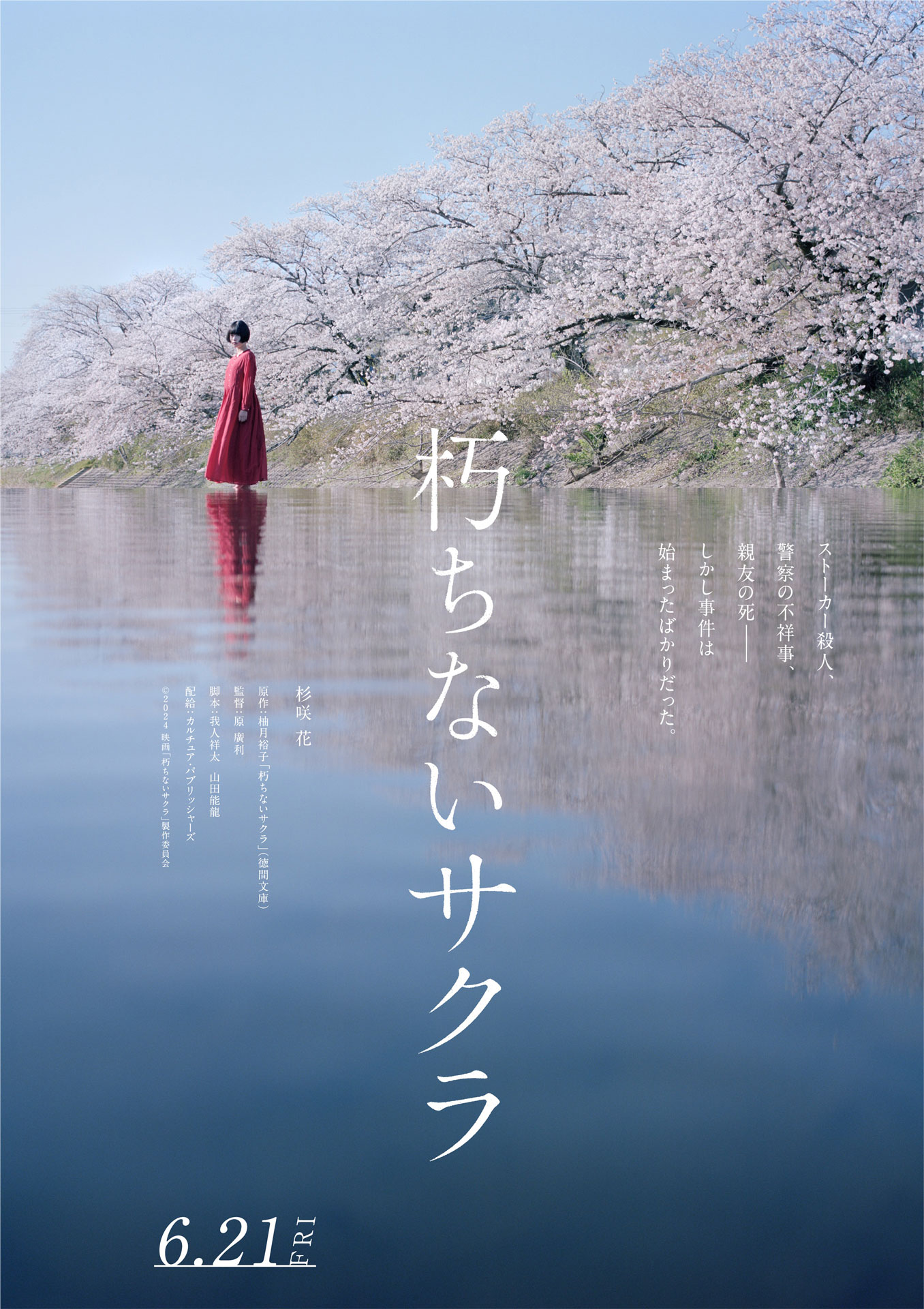 「朽ちないサクラ」ティザービジュアル