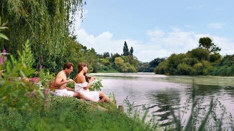「画家ボナール ピエールとマルト」場面写真