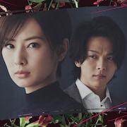 北川景子、中村倫也、芳根京子が共演する映画「ファーストラヴ」BSテレ東で放送