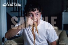 「聖なる鹿殺し キリング・オブ・ア・セイクリッド・ディア」入場者特典のサンプル。(c)2017 EP Sacred Deer Limited, Channel Four Television Corporation, New Sparta Films Limited