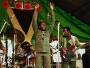 「ボンゴマン ジミー・クリフ デジタルリマスター」場面写真