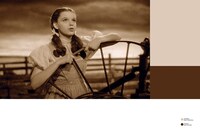 「Color of Film ストーリーを語るカラーパレット」の掲載イメージ。