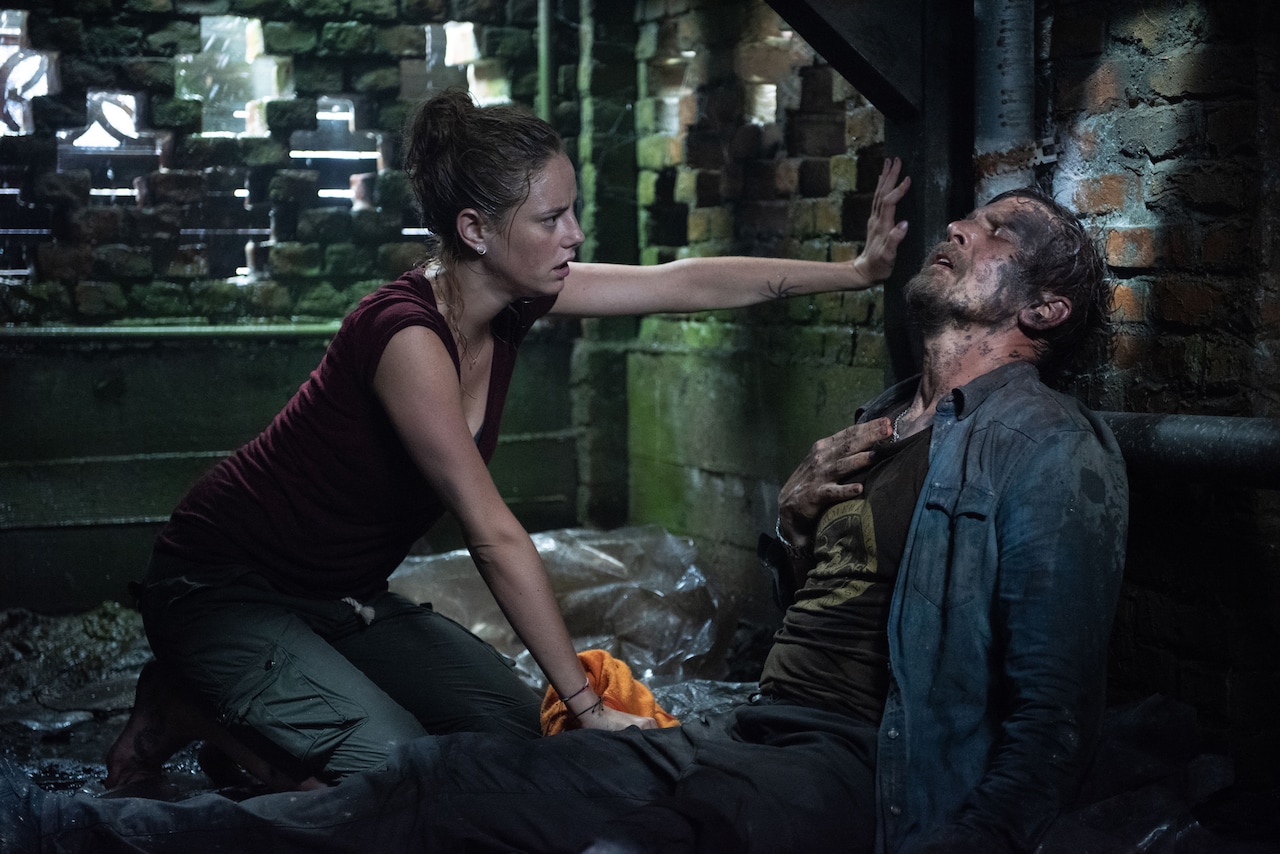 「クロール ―凶暴領域―」場面写真 (c) 2019, 2022 Paramount Pictures.