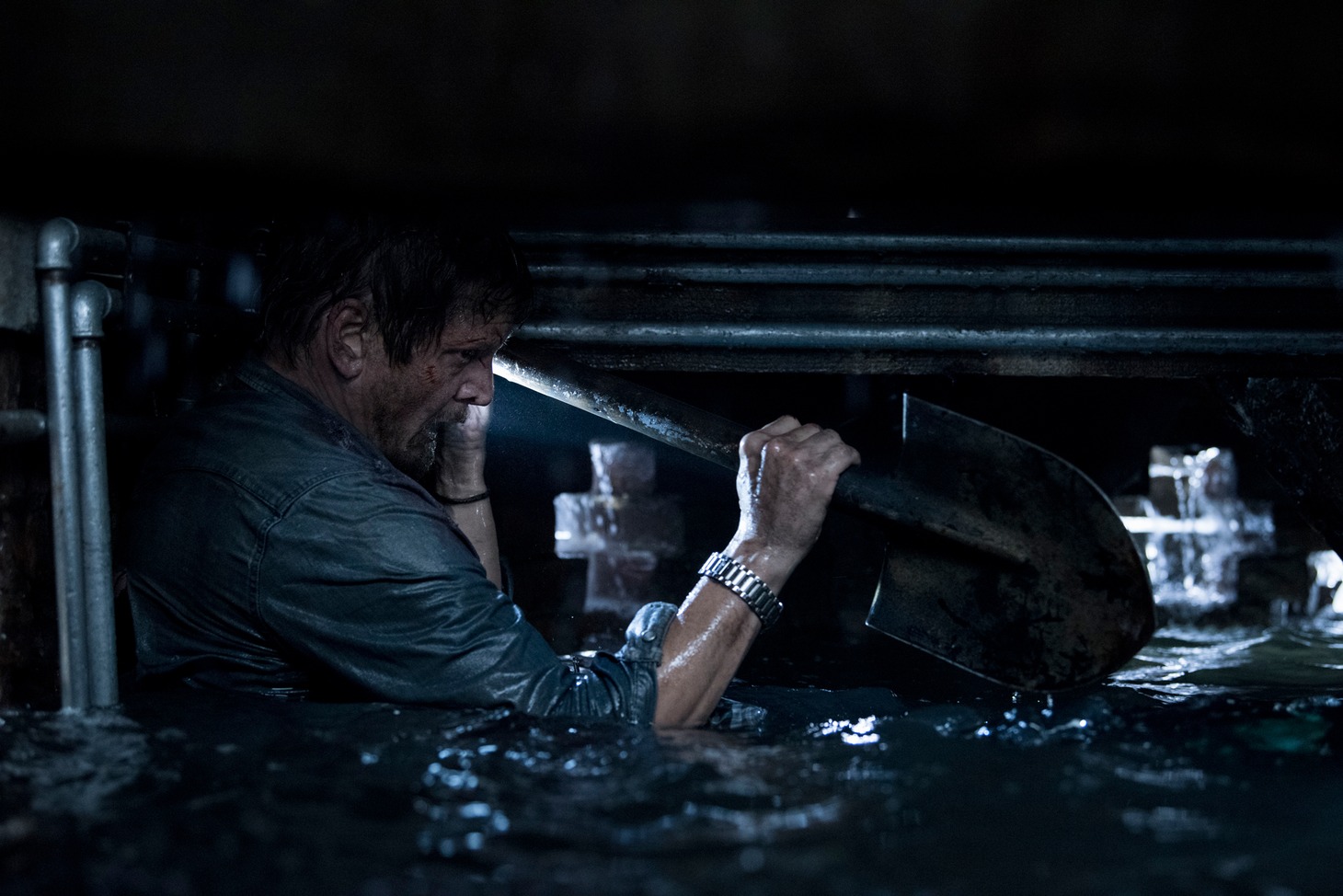 「クロール ―凶暴領域―」場面写真 (c) 2019, 2022 Paramount Pictures.