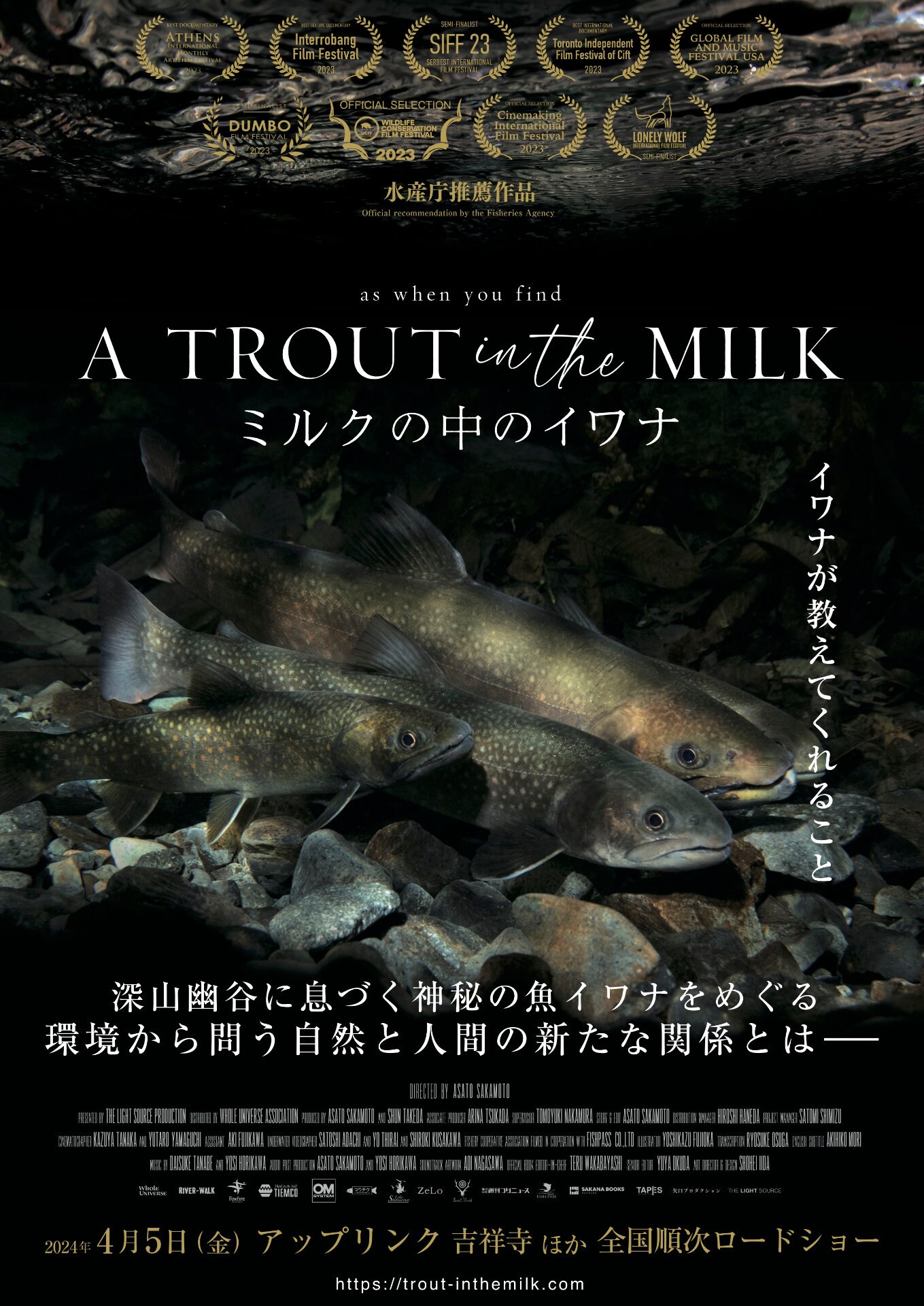 魚名文化圏 イワナ編852 神秘の魚・イワナに焦点を当てたドキュメンタリー4月公開、自然と人間