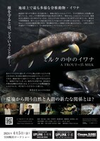 「ミルクの中のイワナ」チラシ裏