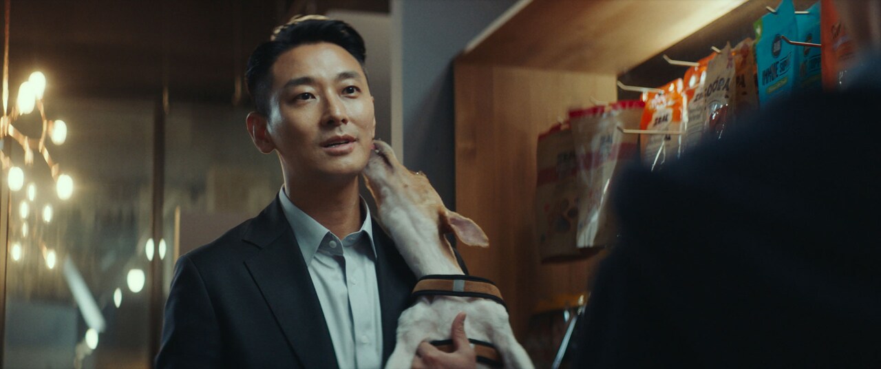 チュ・ジフン、犬アレルギーの真相は…？“名犬”が活躍「ジェントルマン」場面写真