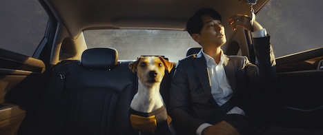 韓国映画「ジェントルマン」場面写真