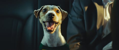 韓国映画「ジェントルマン」場面写真