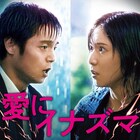 松岡茉優と窪田正孝のW主演作「愛にイナズマ」がHuluで配信