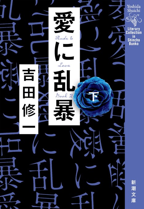 「愛に乱暴」（上） 書影