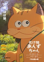 「化け猫あんずちゃん」ティザービジュアル