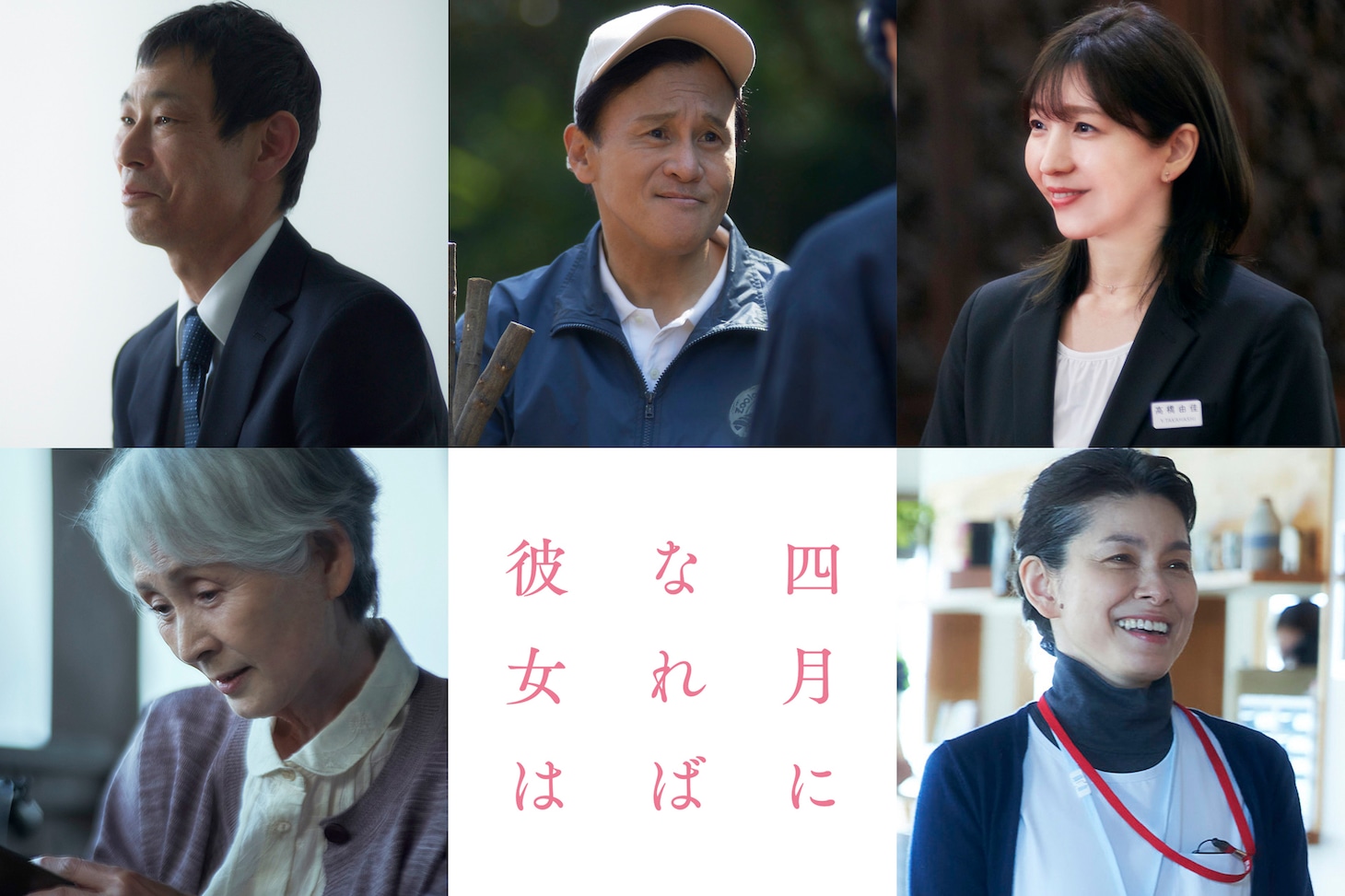 上段左から水澤紳吾、橋本じゅん、瀬奈じゅん。下段左から島かおり、高田聖子。
