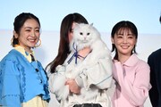 安達祐実（左）と倉科カナ（右）に挟まれて写る猫のElphie（中央）。