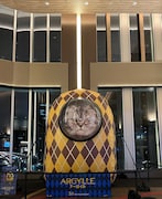 TOHOシネマズ 日比谷に展示されている猫バルーン。