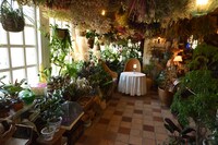 「オキノ邸」魔女の店