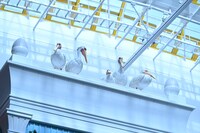 「ジブリの大倉庫」新規展示のペリカン。