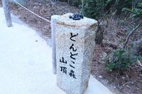 「どんどこ森」の石碑。
