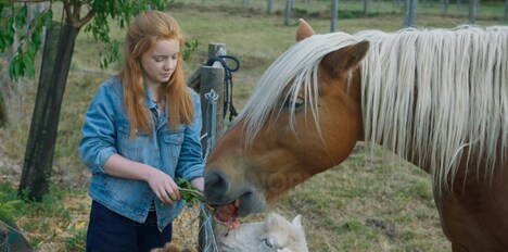 「アニマル ぼくたちと動物のこと」場面写真