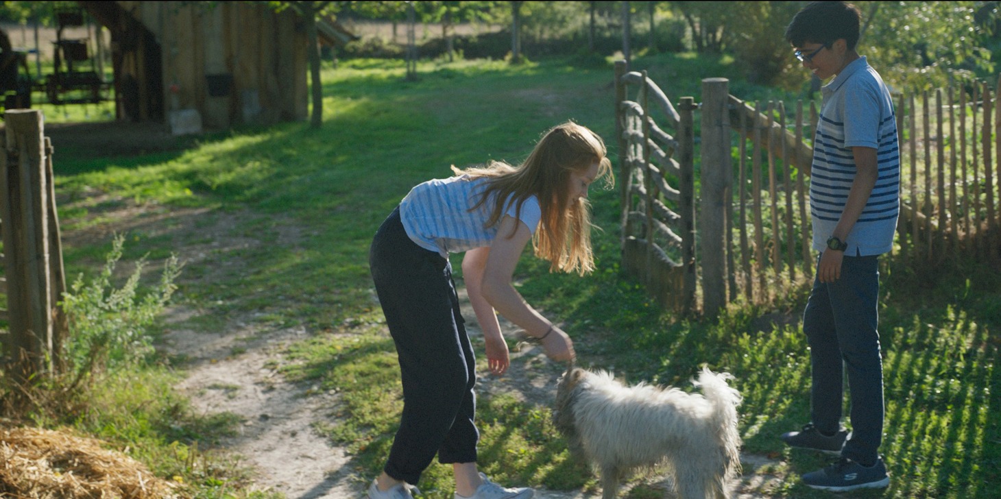 「アニマル ぼくたちと動物のこと」場面写真