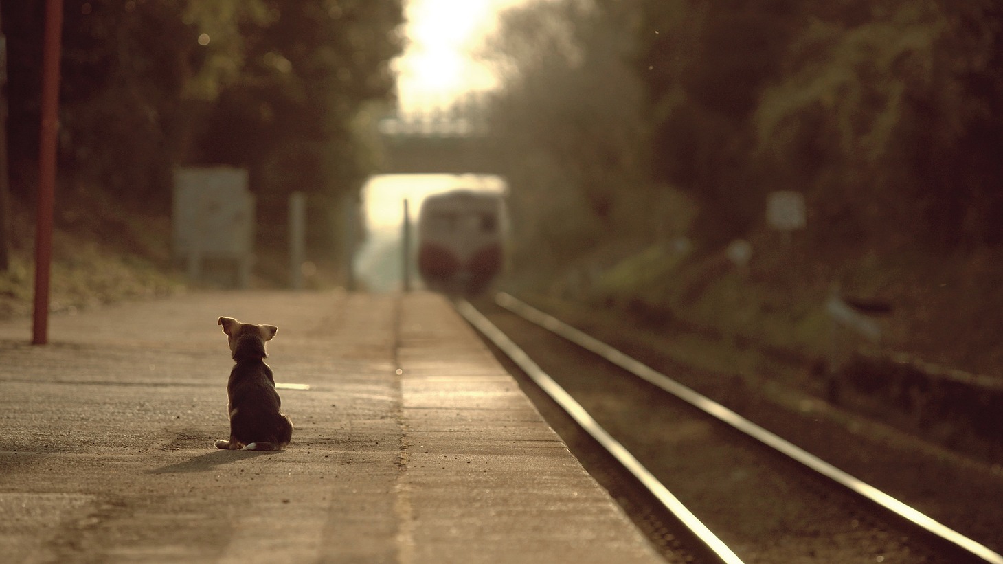 映画「石岡タロー」場面写真