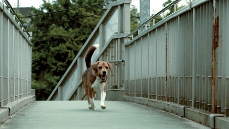映画「石岡タロー」場面写真