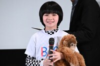 フェイフェイ・チェン（鄭又菲）