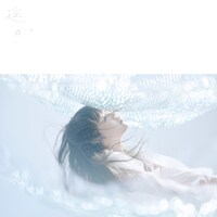 Aimer「遥か」ジャケット