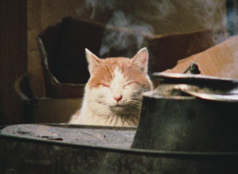 「越後奥三面 山に生かされた日々」場面写真