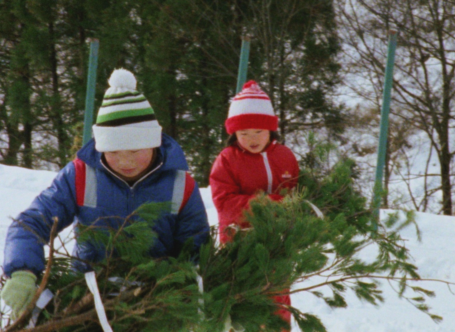 「越後奥三面 山に生かされた日々」場面写真
