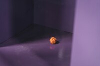 「タッカンジョン」場面写真