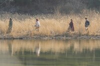 「母とわたしの3日間」場面写真