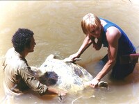 「食人族 -4Kリマスター 2023日本公開完全版-」場面写真