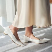 クラリスモデルのイメージ。