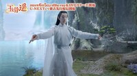 中国ドラマ「玉骨遥（ぎょっこつよう）」より。