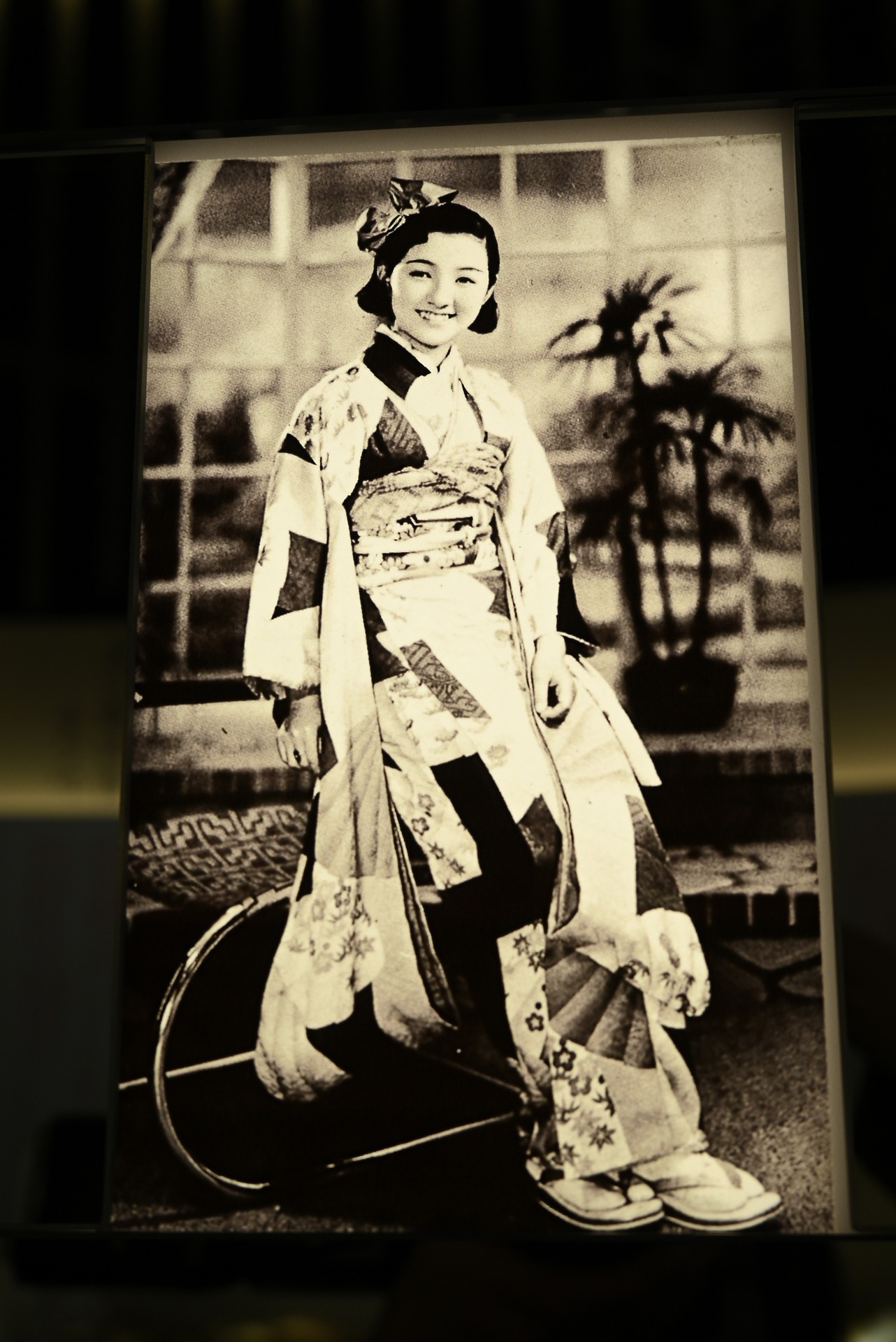 展示写真