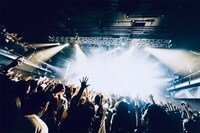 「ゴリラホール」イメージビジュアル