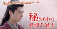 中国ドラマ「玉骨遥（ぎょっこつよう）」より。