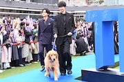 ミル役のライズとともにブルーカーペットを歩く長谷川博己（前）と北村匠海（後方）。